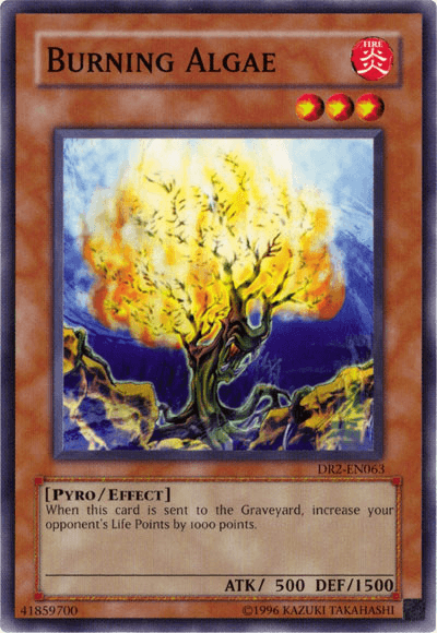 Burning Algae [DR2-EN063] Common - POKÉ JEUX