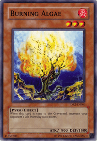 Burning Algae [DR2-EN063] Common - POKÉ JEUX