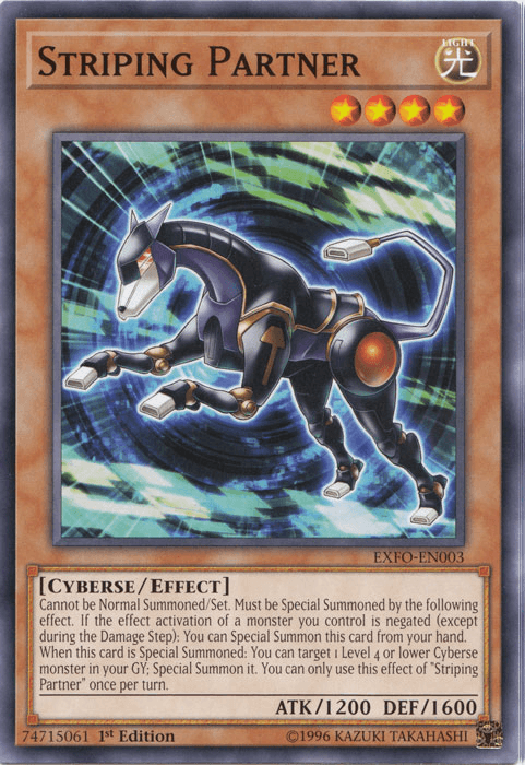 Striping Partner [EXFO-EN003] Common - POKÉ JEUX