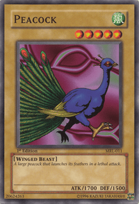 Peacock [MRL-011] Common - POKÉ JEUX