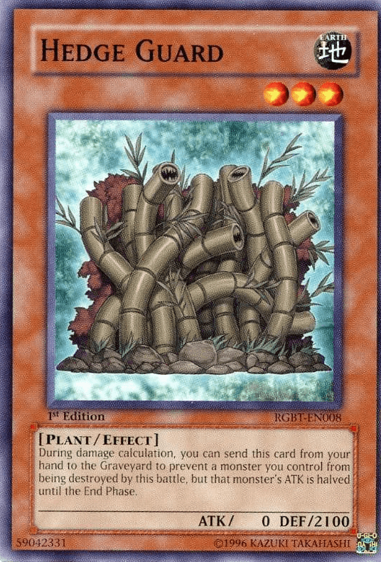Hedge Guard [RGBT-EN008] Common - POKÉ JEUX