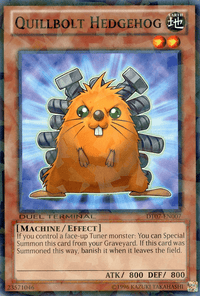 Quillbolt Hedgehog [DT07-EN007] Common - POKÉ JEUX