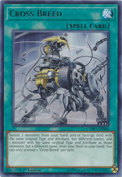 Cross Breed [CYHO-EN066] Rare - POKÉ JEUX