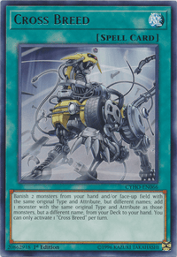 Cross Breed [CYHO-EN066] Rare - POKÉ JEUX