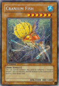 Cranium Fish [TAEV-EN083] Secret Rare - POKÉ JEUX