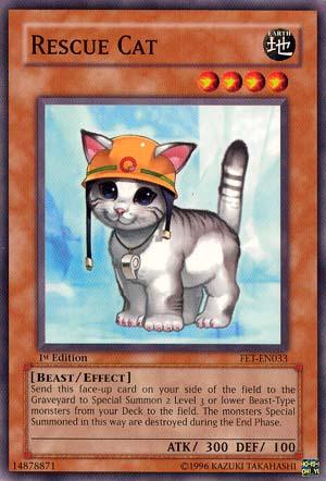 Rescue Cat [FET-EN033] Common - POKÉ JEUX