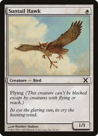 Suntail Hawk [Tenth Edition]