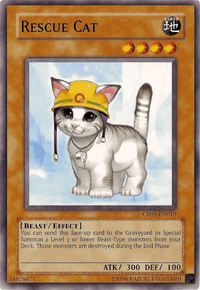 Rescue Cat [CP05-EN015] Common - POKÉ JEUX