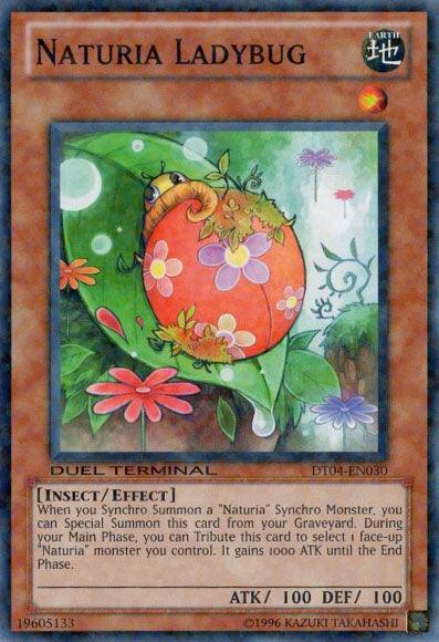 Naturia Ladybug [DT04-EN030] Common - POKÉ JEUX