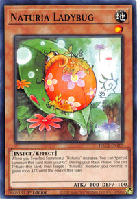Coccinelle Naturia [HAC1-EN109] Commune 