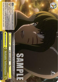 Reliable Information [Sword Art Online Animation 10th Anniversary] - POKÉ JEUX