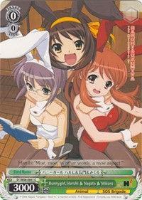 Bunnygirl, Haruhi & Nagato & Mikuru (SY/W08-E041 C) [The Melancholy of Haruhi Suzumiya] - POKÉ JEUX