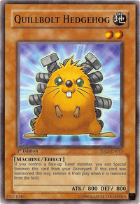 Quillbolt Hedgehog [5DS2-EN013] Common - POKÉ JEUX