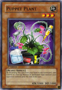 Puppet Plant [STON-EN022] Common - POKÉ JEUX