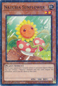 Naturia Tournesol (Duel Terminal) [HAC1-EN102] Parallèle Rare 