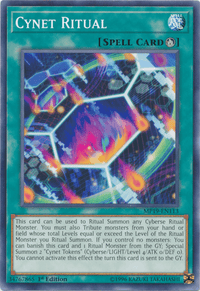 Cynet Ritual [MP19-EN113] Common - POKÉ JEUX