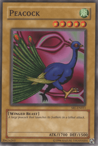 Peacock [SRL-011] Common - POKÉ JEUX