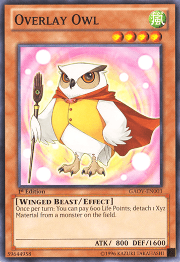 Overlay Owl [GAOV-EN003] Common - POKÉ JEUX