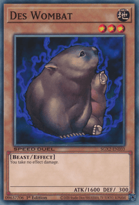 Des Wombat [SGX2-ENE03] Common - POKÉ JEUX