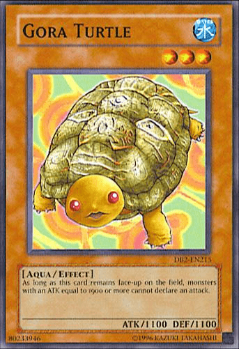 Gora Turtle [DB2-EN215] Common - POKÉ JEUX