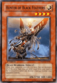 Hunter of Black Feathers [TSHD-EN038] Common - POKÉ JEUX