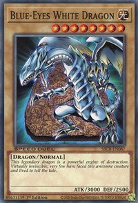 Dragon blanc aux yeux bleus [SBCB-EN087] Commun 
