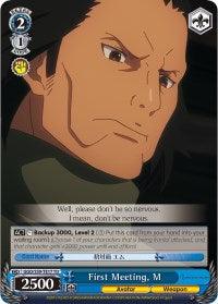 First Meeting, M (GGO/S59-TE17 TD) [Gun Gale Online] - POKÉ JEUX