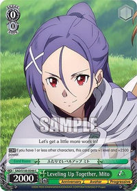 Leveling Up Together, Mito [Sword Art Online Animation 10th Anniversary] - POKÉ JEUX