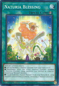 Naturia Blessing [DABL-EN064] Common - POKÉ JEUX