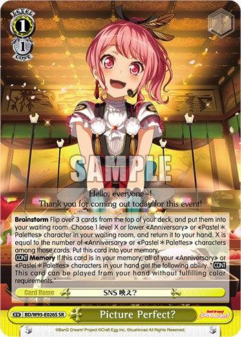 Picture Perfect? [BanG Dream! Girls Band Party! 5th Anniversary] - POKÉ JEUX